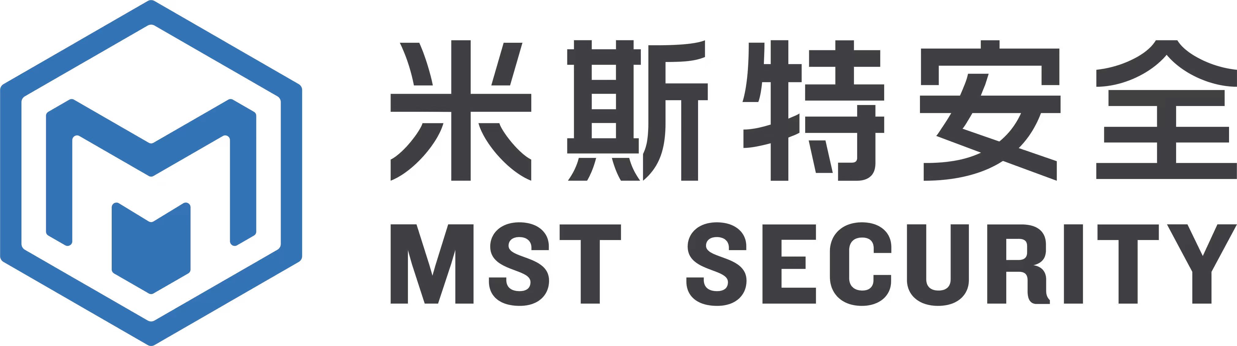 米斯特安全团队